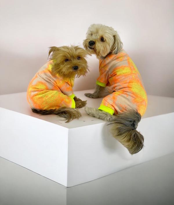 Tesla Penye Tulum Duo Köpek Tulumu Köpek Elbisesi - Image 1