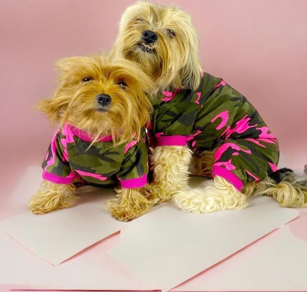 Pinky Camouflage Penye Tulum Köpek Tulumu Köpek Elbisesi - Image 1