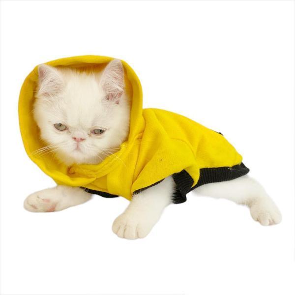 Yellow Lux Duo Sweatshirt Kapşonlu Kedi Kıyafeti Kedi Sweatshirt - Image 1