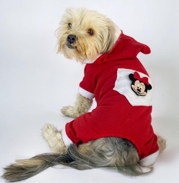 Kırmızı Sevimli Fare Duo Kapşonlu Köpek Tulumu - Image 1