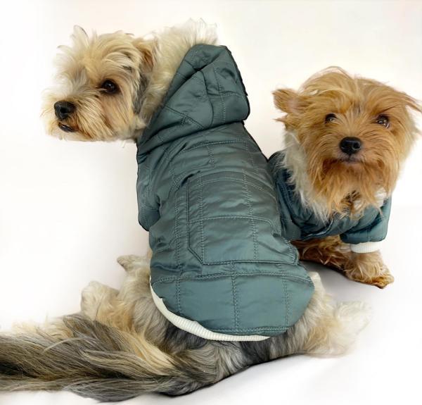 Poof Green Köpek Montu, Köpek Ceketi, Köpek Dış Giyim - Image 1