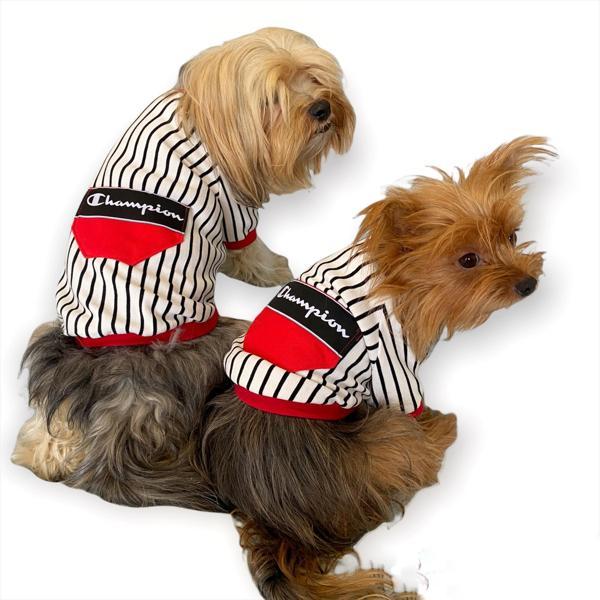 Champion Oval Yaka Tişört Köpek Kıyafeti - Image 1
