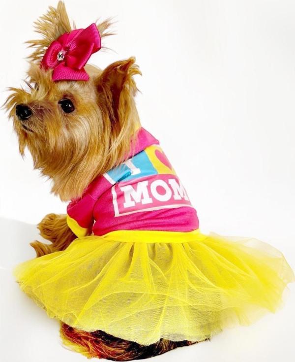 PINK Love Mom Tütülü Köpek Elbisesi,  Kıyafeti Tutu - Image 1