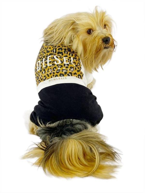 Diesel Leo Köpek Tulumu Köpek Elbisesi - Image 1