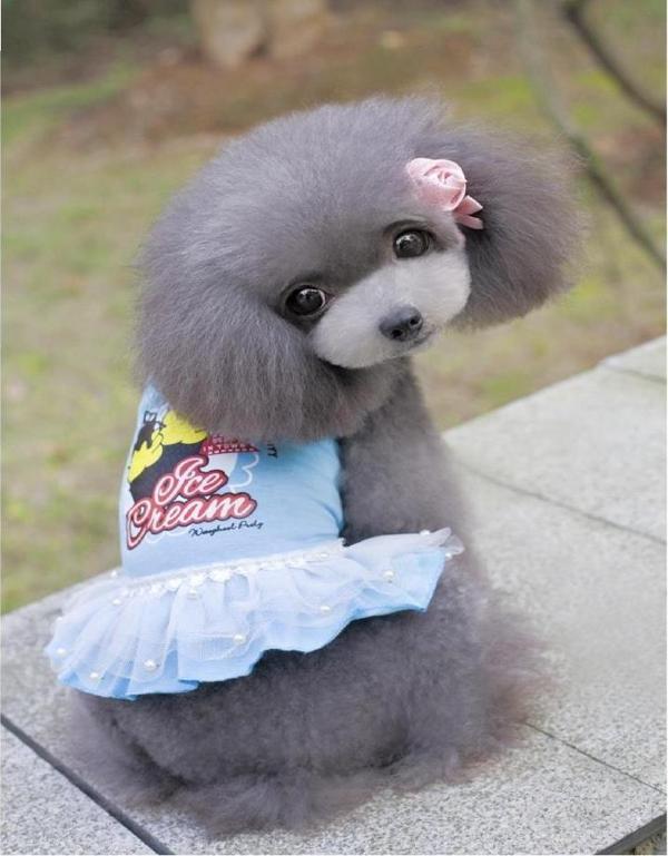 MAVİ ICE CREAM TÜTÜLÜ KÖPEK ELBİSESİ - Image 1