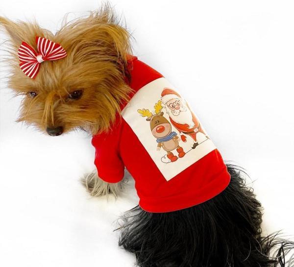 Noel Baba Ve Rudolph Köpek Tişörtü  - Image 1