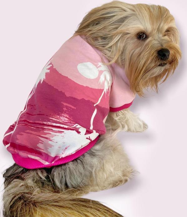 Nature Pink Oval Yaka Tişört Köpek Kıyafeti - Image 1