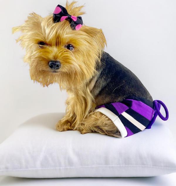 Modern Purp Kemique's Secret Köpek İç Çamaşırı Regl Külot Don - Image 1