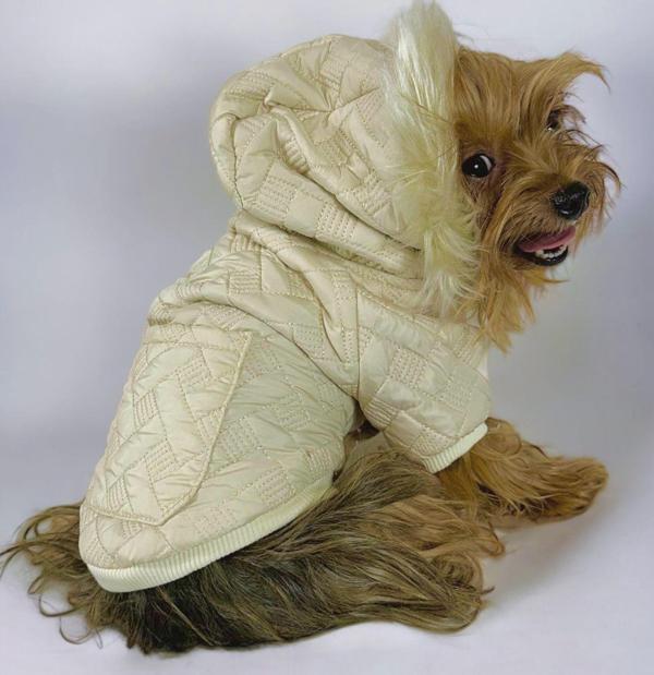 Cream Comfy Köpek Montu, Köpek Ceketi, Köpek Dış Giyim - Image 1