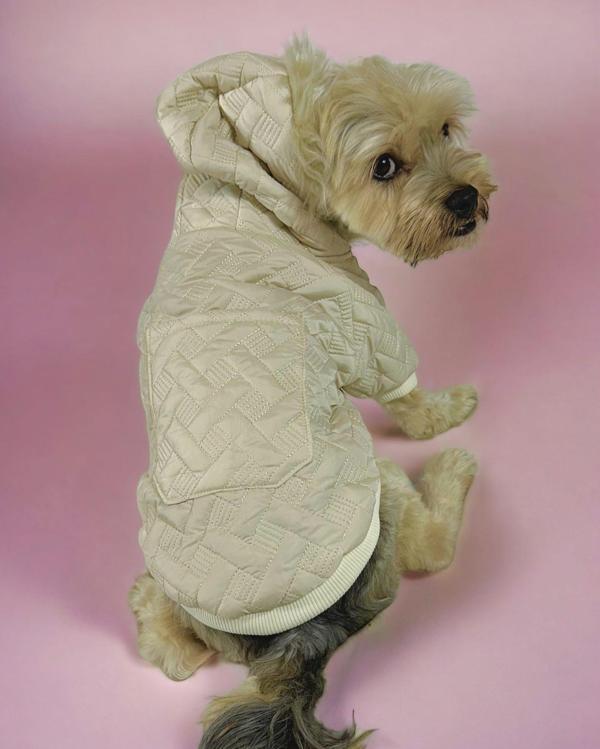 Cream Comfie Köpek Montu, Köpek Ceketi, Köpek Dış Giyim - Image 1