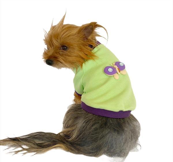 Sweet Butterfly Oval Yaka Tişört Köpek Kıyafeti Köpek Elbisesi - Image 1