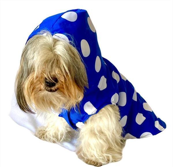 Puantiyeli Mavi Yağmurluk Kapşonlu  Köpek Yağmurluğu  - Image 1