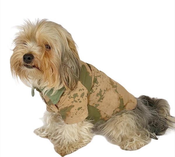 Komando Polo Yaka Tişört Köpek Kıyafeti Köpek Elbisesi - Image 1
