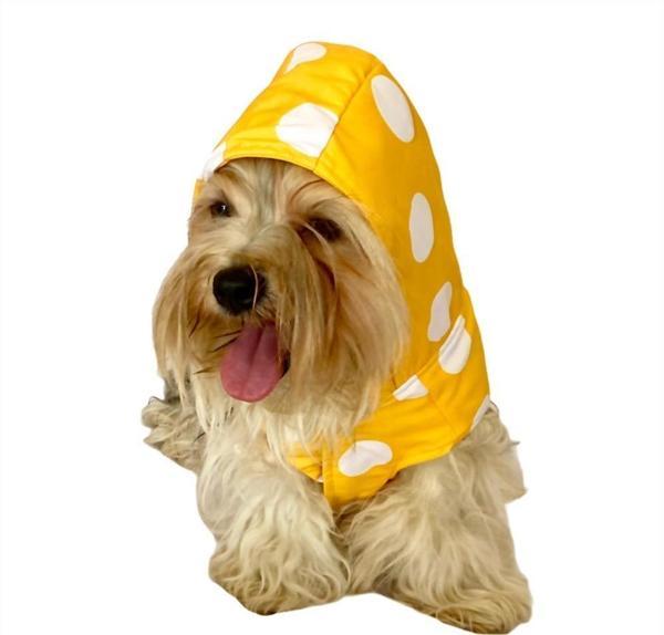 Puantiyeli Sarı Yağmurluk Kapşonlu  Köpek Yağmurluğu  - Image 1
