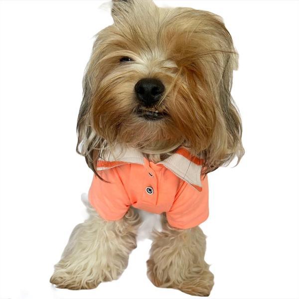 Salmon Flash Polo Yaka Tişört Köpek Kıyafeti Köpek Elbisesi - Image 1