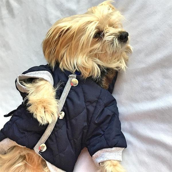 LACİVERT POOF CUTIE by Kemique  KÖPEK MONT KÖPEK PALTO - Image 1