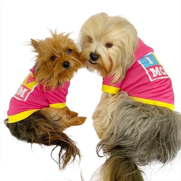 Love Mom Pink, Oval Yaka Tişört Köpek Kıyafeti,Elbisesi Anneler Günü  - Image 1