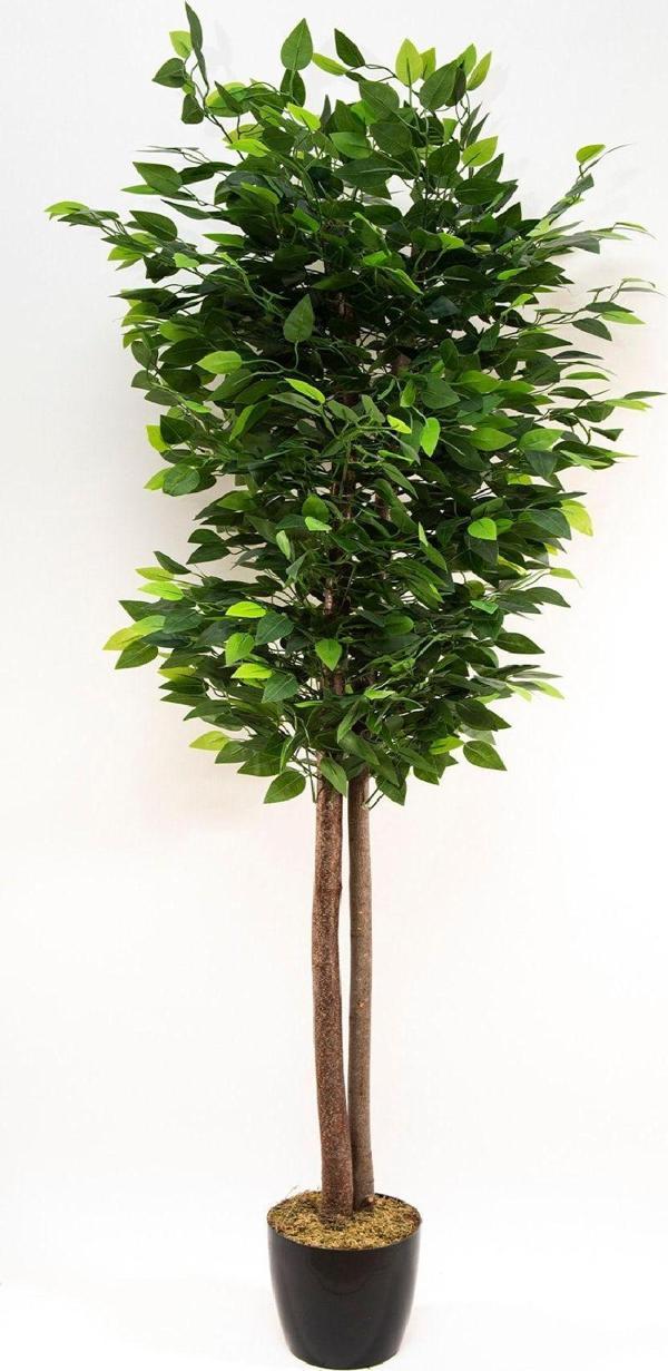 Yapay Çiçekçiniz Siyah Saksıda Yoğun Yapraklı 120 Cm Yapay Benjamin Ağacı - Image 1