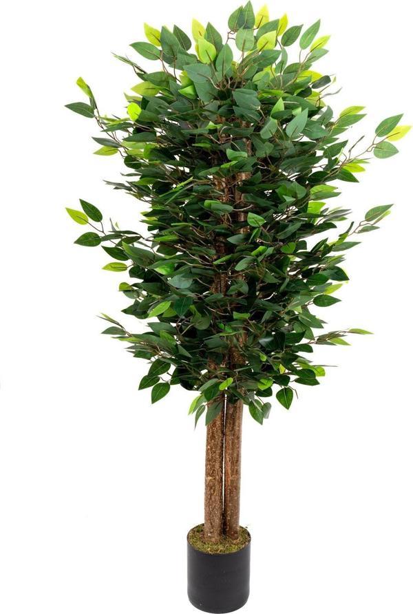 Yapay Çiçekçiniz Siyah Saksıda Yoğun Yapraklı 150 Cm Yapay Benjamin Ağacı - Image 1