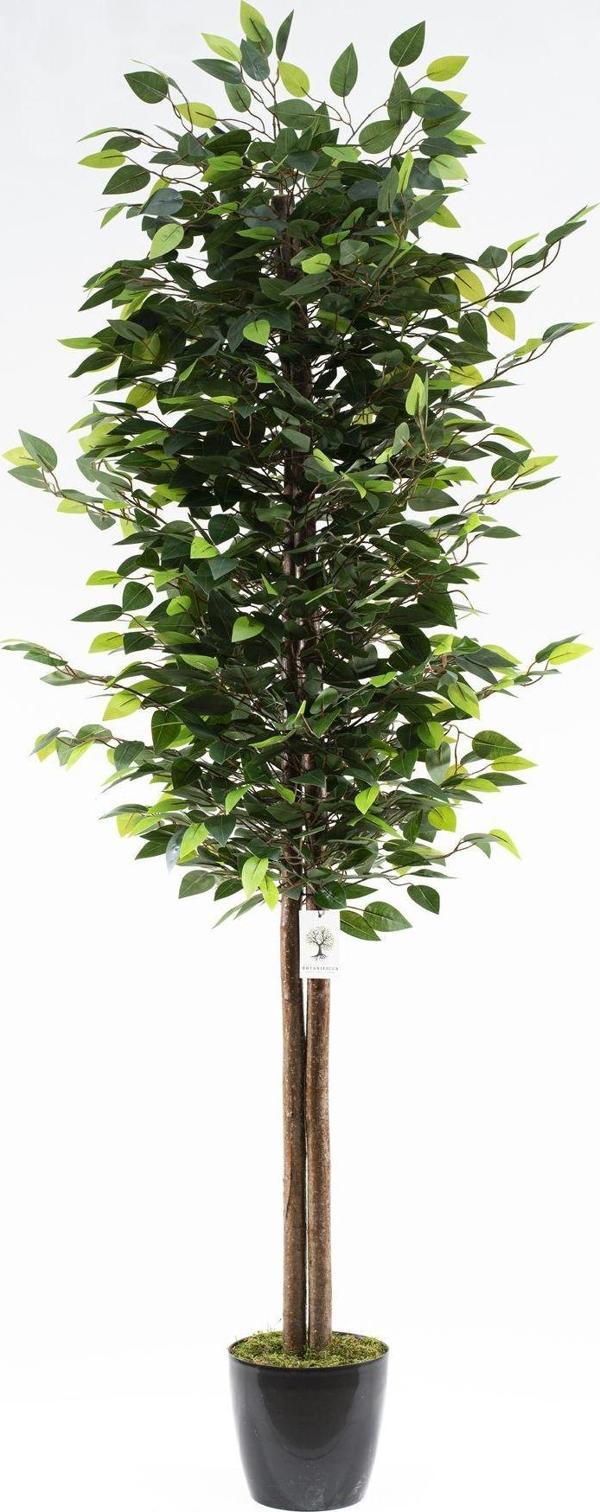 Yapay Çiçekçiniz Siyah Saksıda Yoğun Yapraklı 180 Cm Yapay Benjamin Ağacı - Image 1