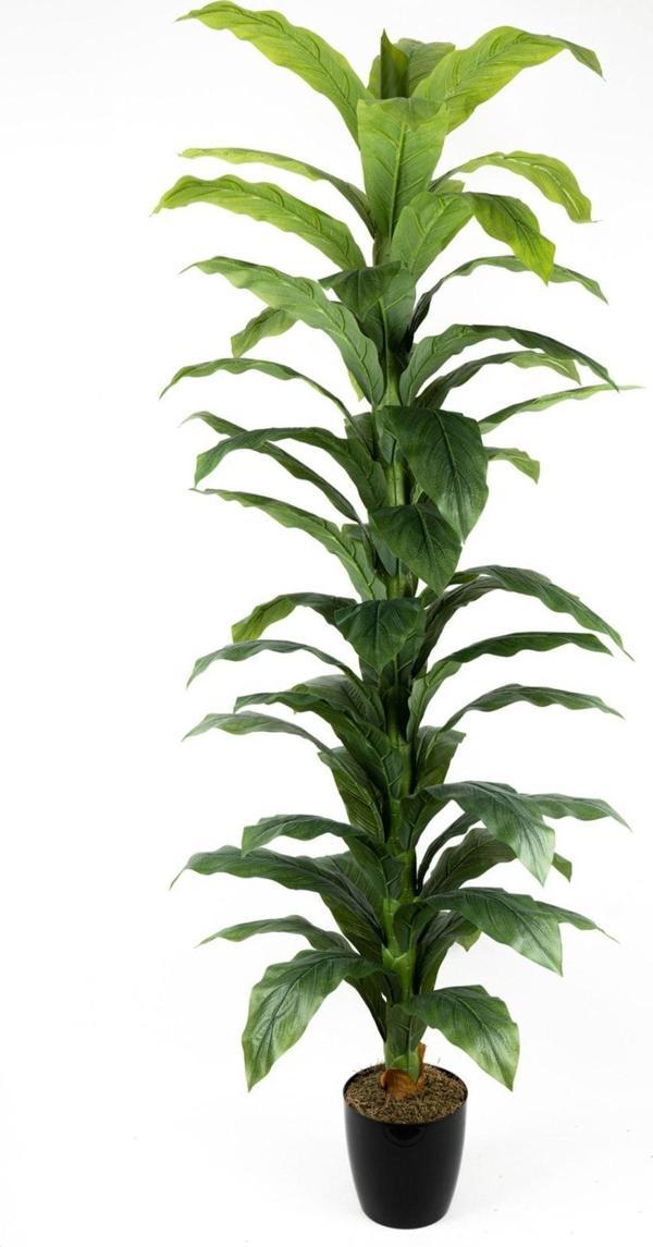 Yapay Çiçekçiniz Siyah Saksıda Çim Detaylı Büyük Yapraklı Yapay Difenbahya Ağacı 180 Cm - Image 1