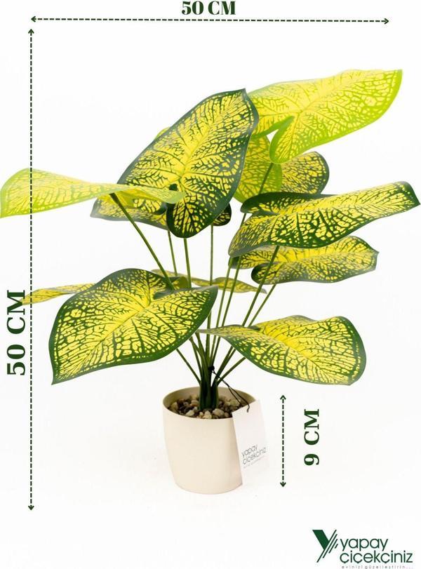 Yapay Çiçekçiniz Taş Detaylı Beyaz Saksıda 12 Yapraklı 50 Cm Yapay Salon Çiçeği - Image 1