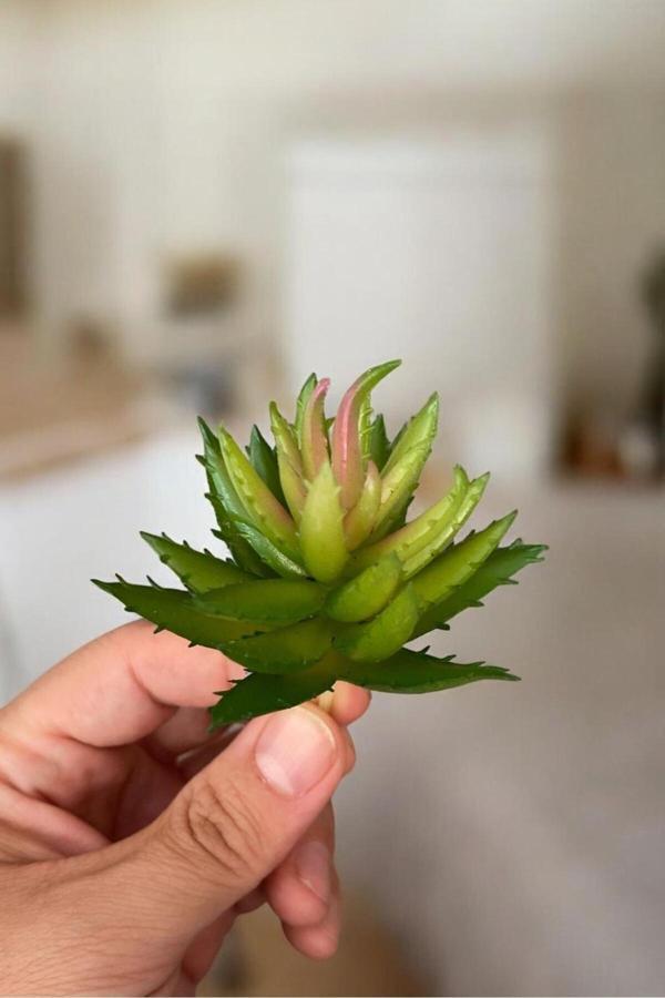 Yapay Çiçekçiniz Yapay Sukulent Kaktüs - Image 1