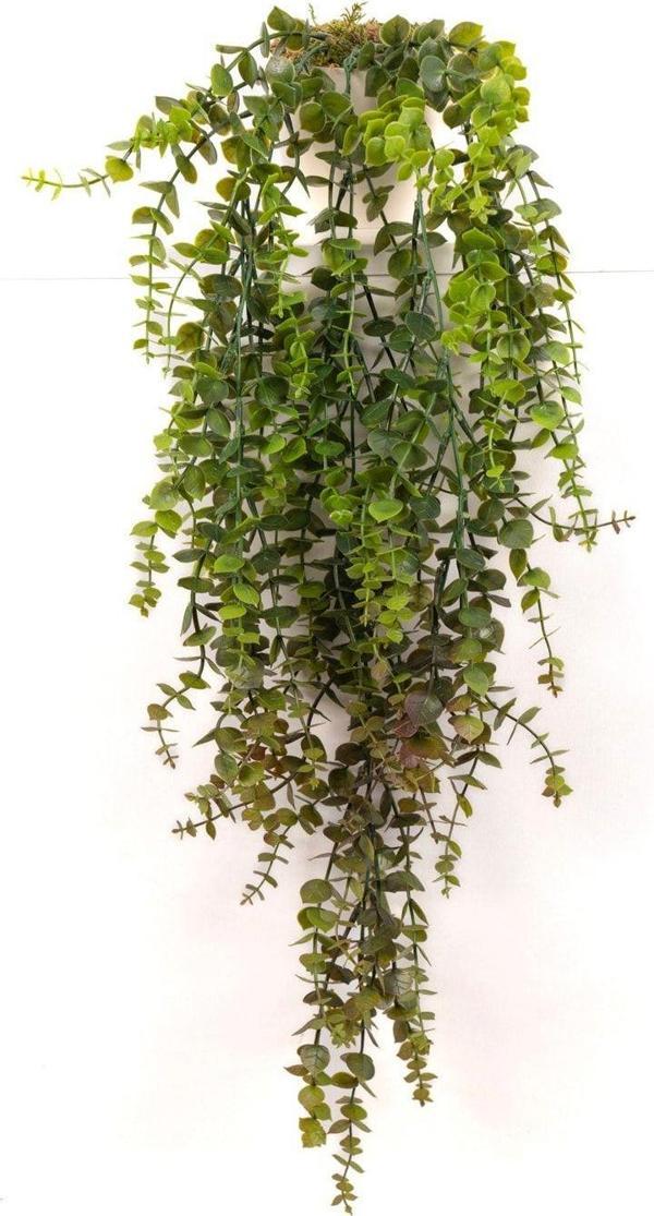 Yapay Çiçekçiniz Beyaz Plastik Saksıda Yoğun Yapraklı 70 Cm Yapay Sarkan Şimşir - Image 1