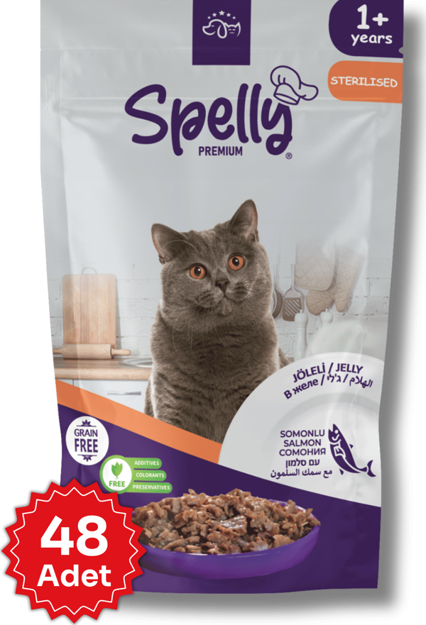 48 Adet x Spelly Premium Kısırlaştırılmış Kedi Yaş Mama - Somon (85gr) - Image 1