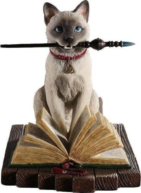 WISE SİHİRBAZ KEDİ - Image 1