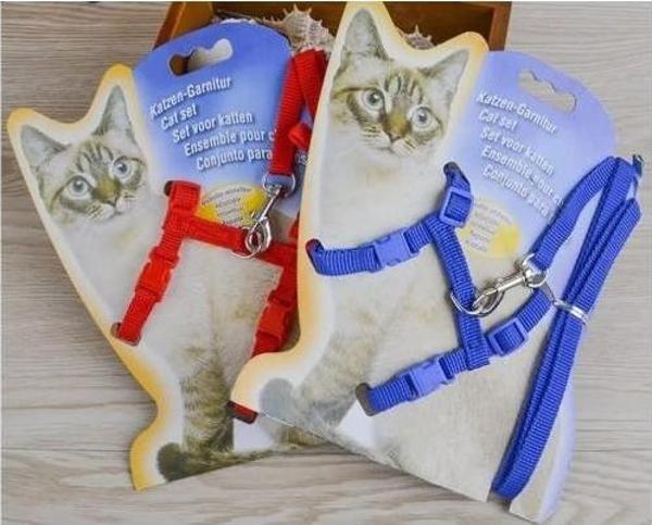 Kedi Boyun ve Göğüs Tasması - Image 1