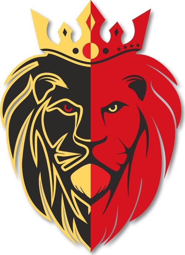 Dark Flamingo El Yapımı Üç Boyutlu Aslan Kral Ev Ofis İş Yeri Duvar Dekoru - Image 1