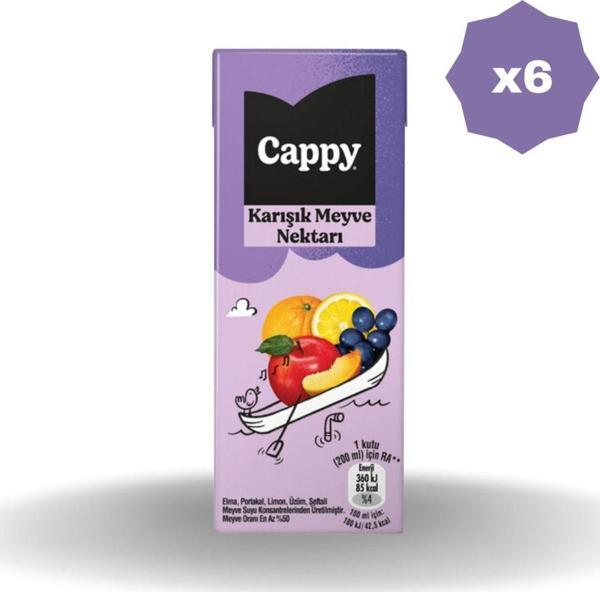 Cappy Karışık Meyve Nektarı 200 Ml - (6 Adet) - Image 1