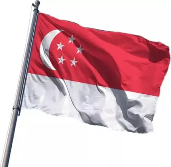 Singapur Bayrakları 70x105 cm - Image 1