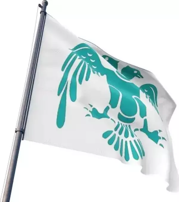 Büyük Selçuklu Devlet Bayrağı (Arması) 70x105 cm
 - Image 1