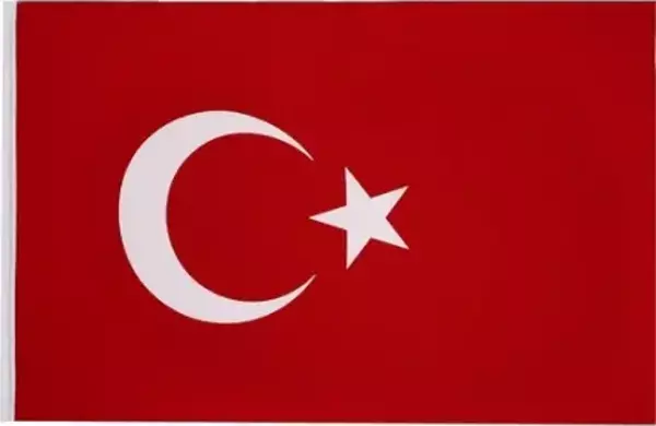 Türk Bayrağı 20x30 cm (Sıcak Kesim) 5 Adet 
 - Image 1
