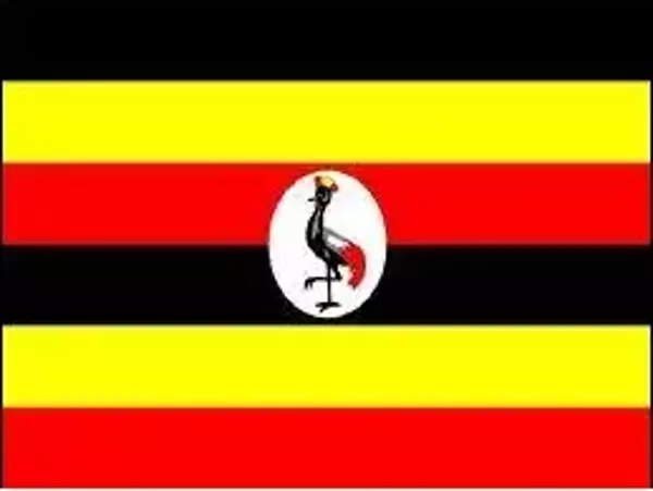 Uganda Bayrağı 70x105 cm - Image 1