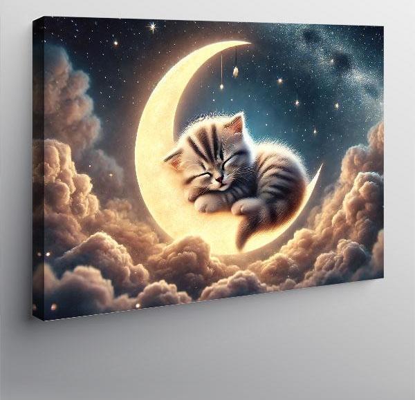 Kanvas Tablo Ayda Yatan Kedi - Image 1