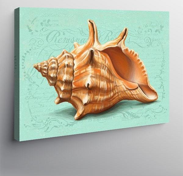Kanvas Tablo Deniz Kabuğu Motifi - Image 1