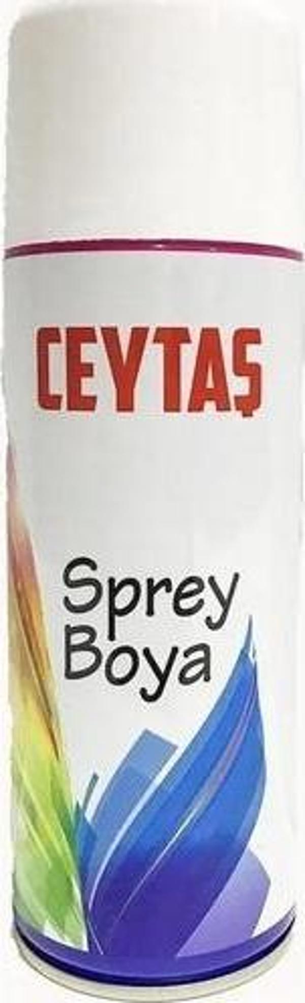 CEYTAŞ SPREY BOYA 200 ML SİYAH - Image 1