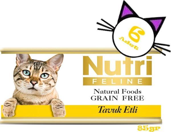 Nutri Feline Tavuk Etli 85GR Nutri Yaş Kedi Maması 6ADET - Image 1