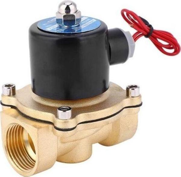 2W-250-25 DC 24V Elektromanyetik Valf - Solenoid Valf - Image 1