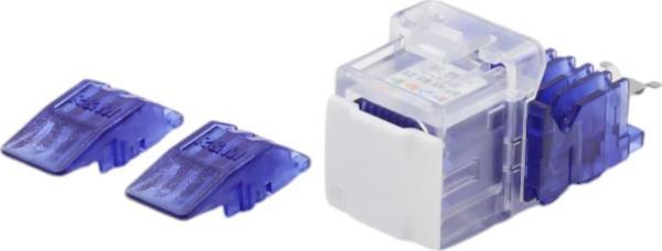 KEYSTONE JACK UTP CAT6 90 D BLUE-RED - Image 1