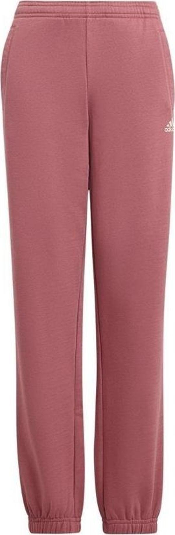 adidas J SL FC FL PT Çocuk  Eşofman Altı IW0868 - Image 1