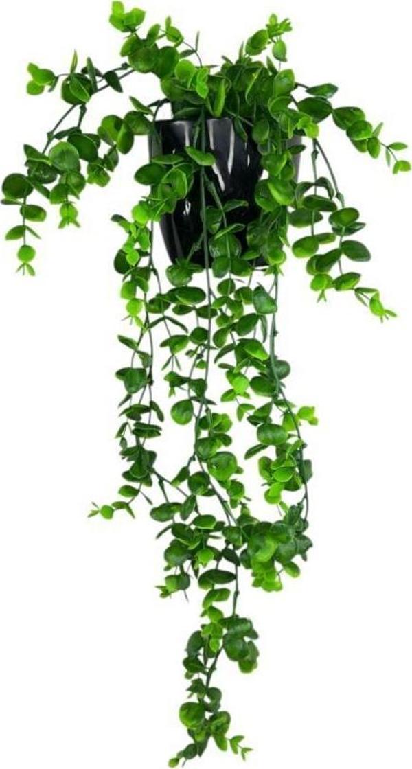 Yapay Çiçek Saksıda Sarkan Şimşir Okaliptus Yapay Sarmaşık 56cm Siyah Saksıda - Image 1