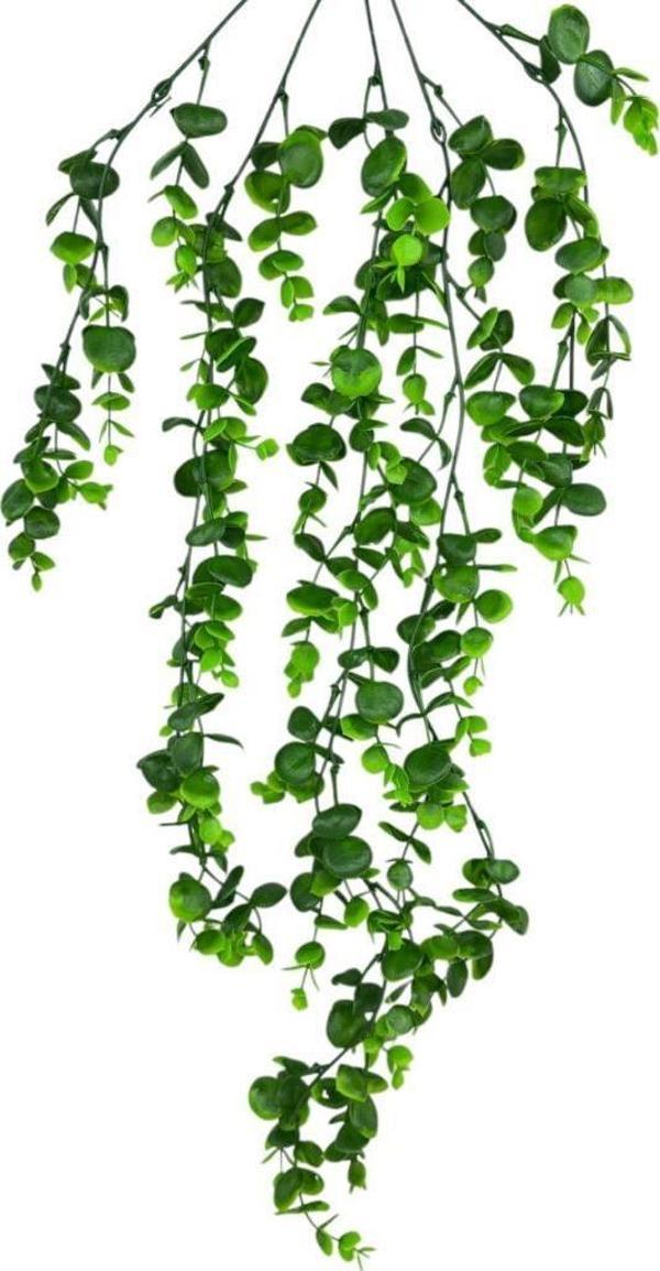 Yapay Çiçek 5dal Sarkan Okaliptus Şimşir Yapay Sarmaşık 70cm - Image 1