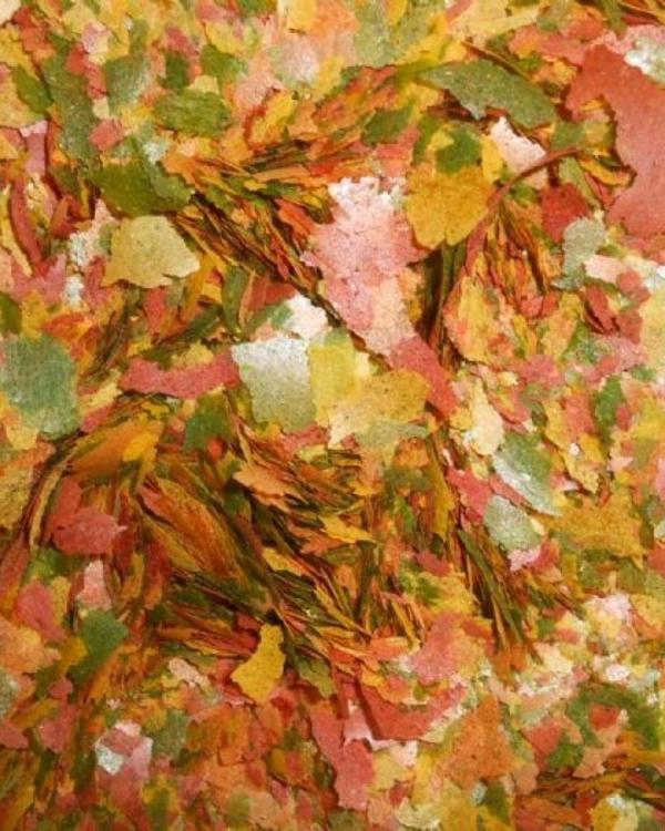 Ahm Tropical Mix Flake 100gr Kilitli Poşette  Gönderilir - Image 1