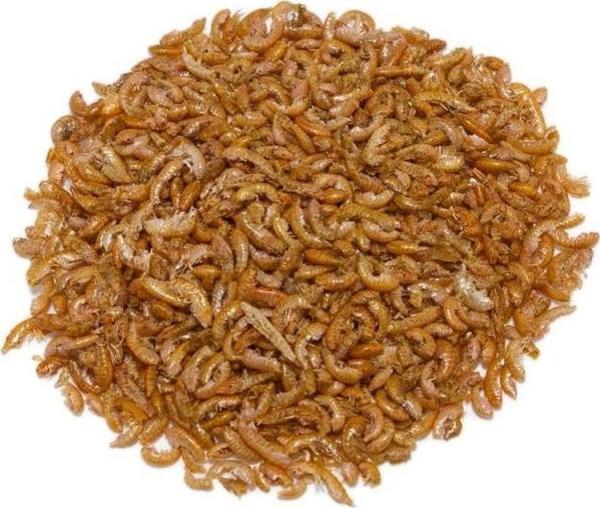 NetX Gammarus 50 Gr Kaplumbağa ve Balık Yemi - Image 1