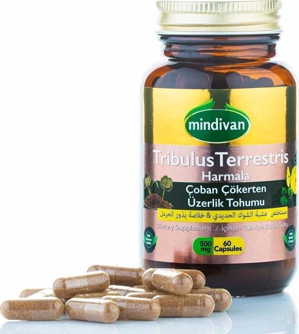 Çoban Çökerten & Üzerlik Tohumu Ekstresi 500 Mg 60 Kapsül - Image 1