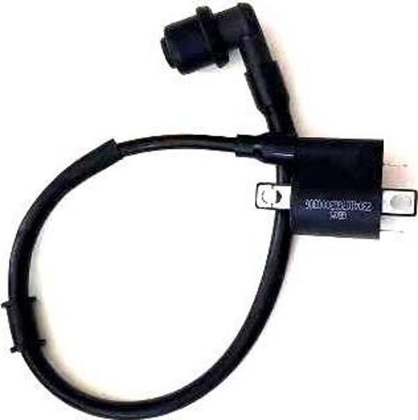 Rmg Ateşleme Bobini Aston Prego Santa 125 - Image 1